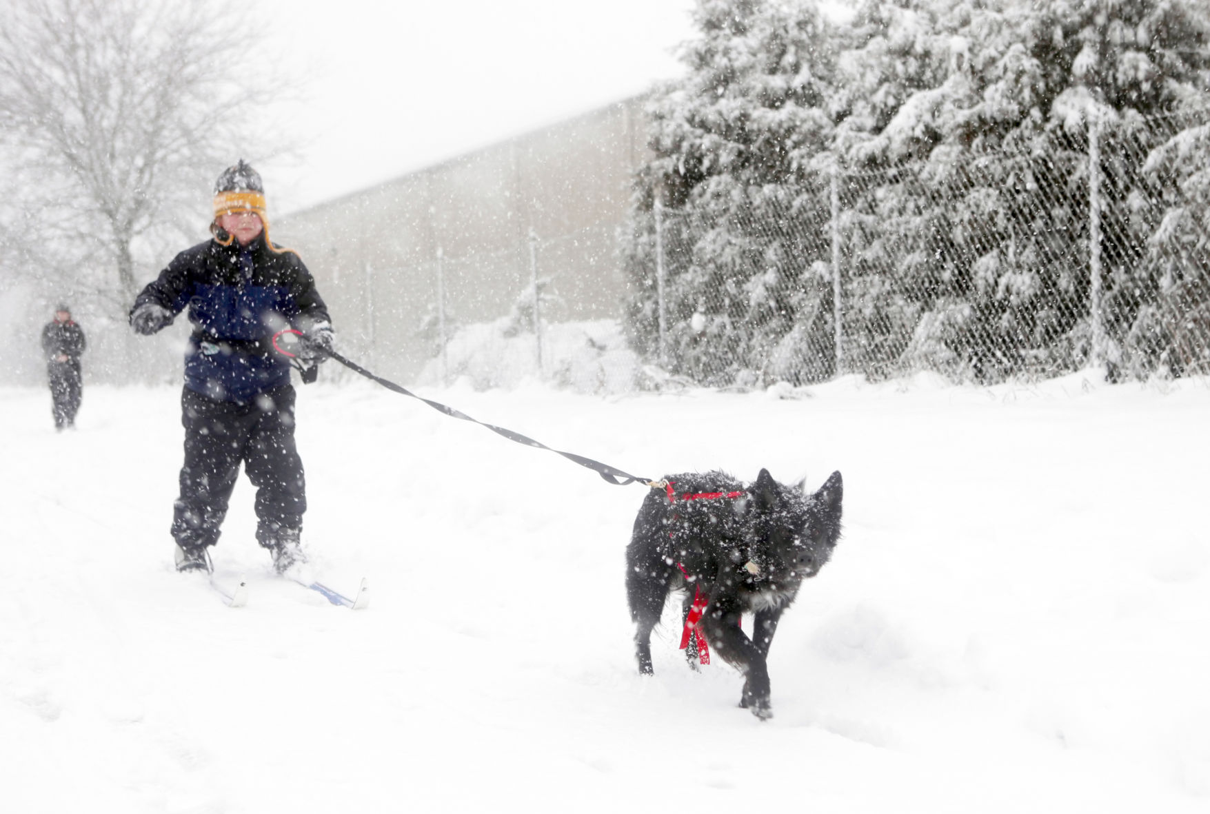 Scene from December 2012 blizzard